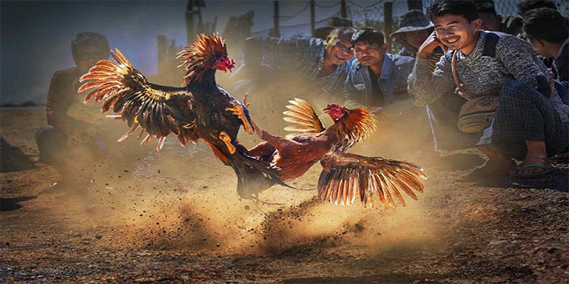99ok chơi bắn cá đổi thưởng