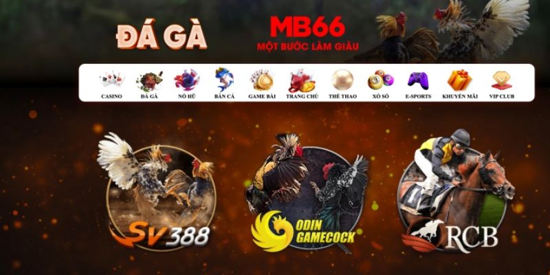 99ok đăng nhập poker số 1