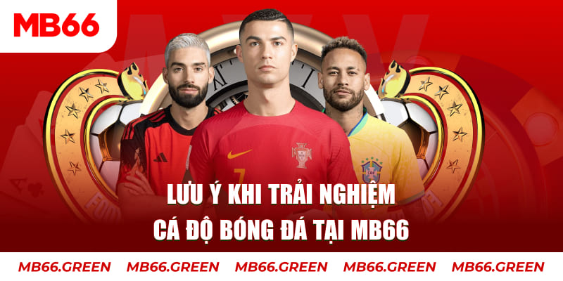 99ok cá cược là gì