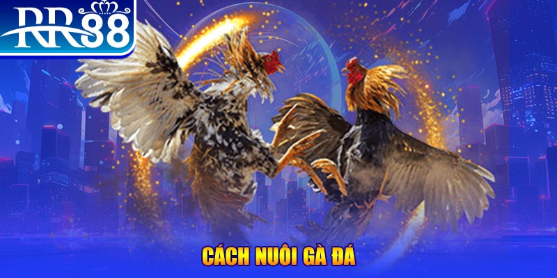 99ok xổ số an giang