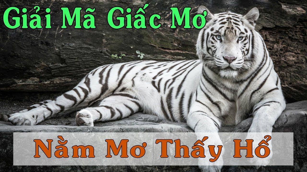 99ok xổ số 3 miền