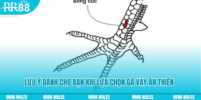 99ok xổ số đồng nai