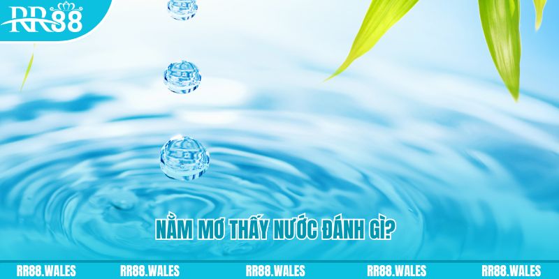 TP Bắn cá
