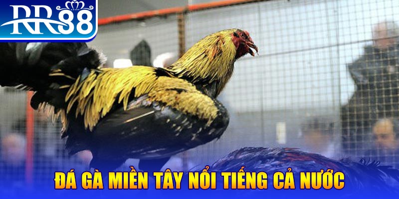 99ok JILI Game Bài 3d