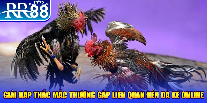 99ok xổ số đà lạt