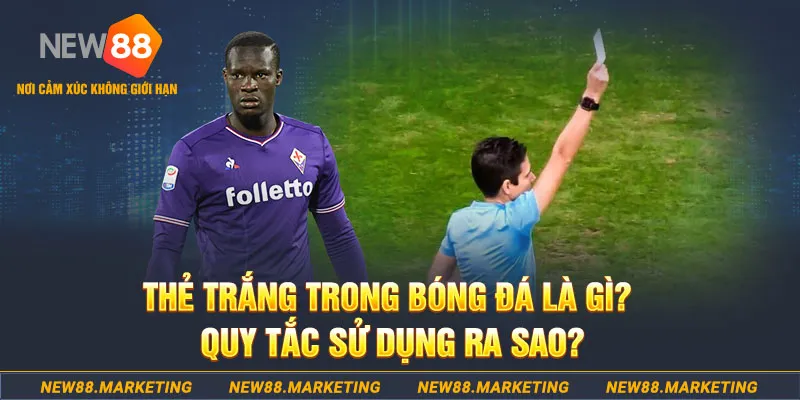 99ok gà chọi mộc hóa