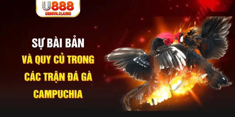 99ok YGR Điện Tử