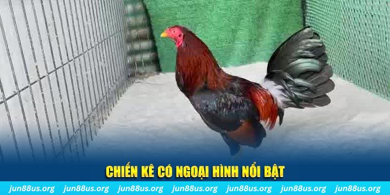 99ok chạy quảng cáo cho game bài bị phạt như thế nào